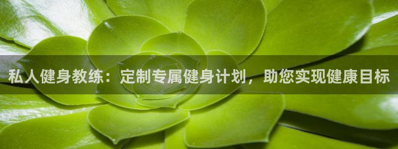 龙8游戏网站