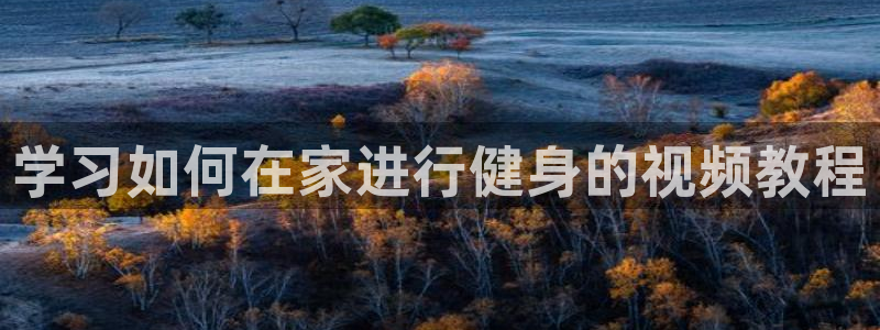 龙8国际开户