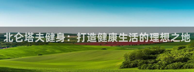 龙8国际平台官网