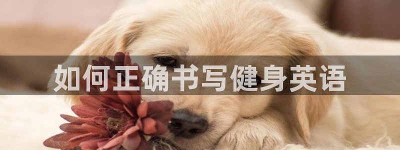 龙8老虎机游戏网站多少