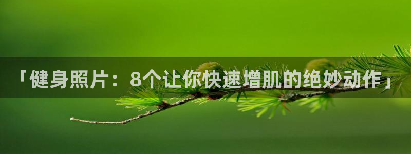 龙8游戏平台官方