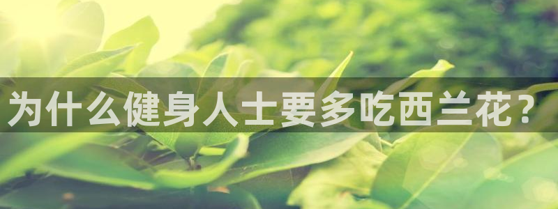 龙8国际试玩