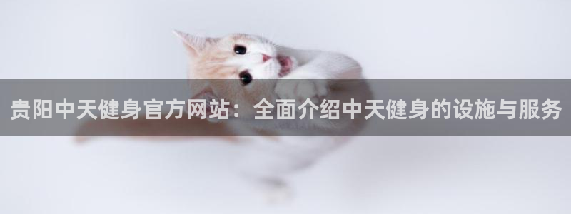 龙八国际官网下载
