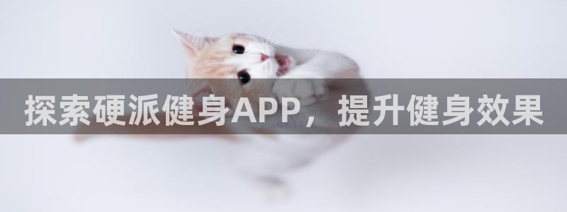龙八国际娱乐官网app