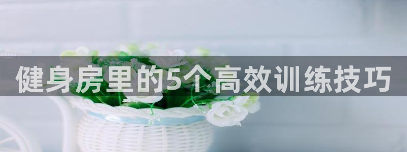 龙8国际游戏