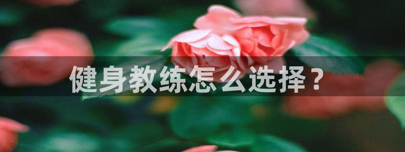 龙8国际2023官方版fxzls安卓-1.2.9 -安卓
