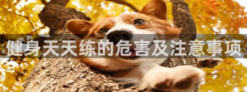 龙8国际线上