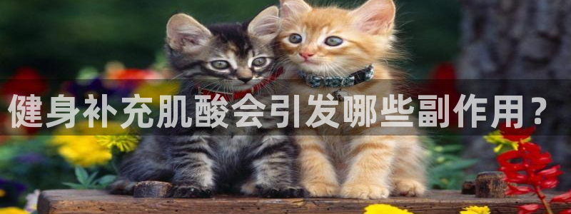 龙8国际老虎机游戏