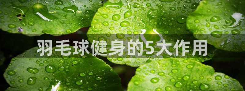 龙8国际是不是黑台子