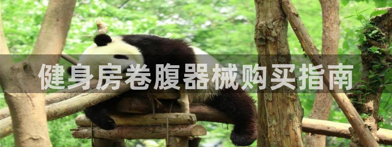 龙8国际是不是黑台子
