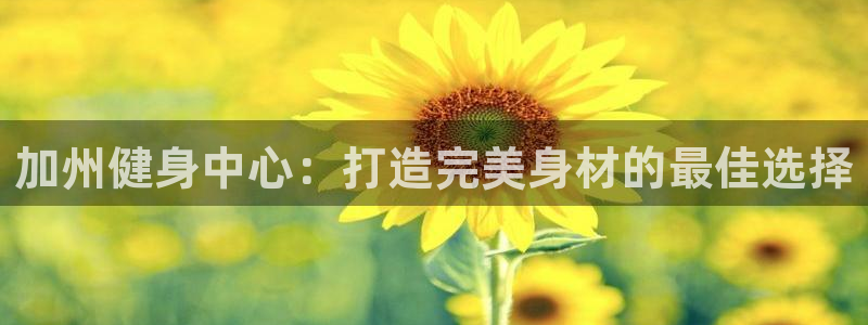 龙8游戏官方网站登录