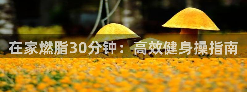 龙8国际网址多少
