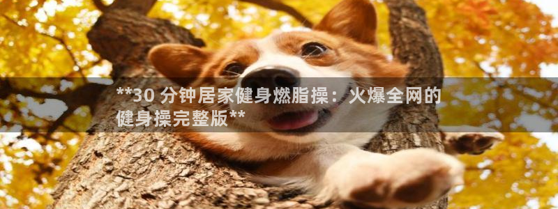 龙8国际官网版