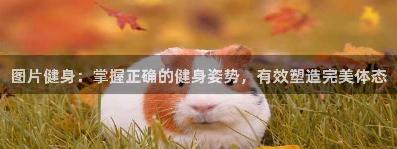 龙8国际唯一官网手游登入口