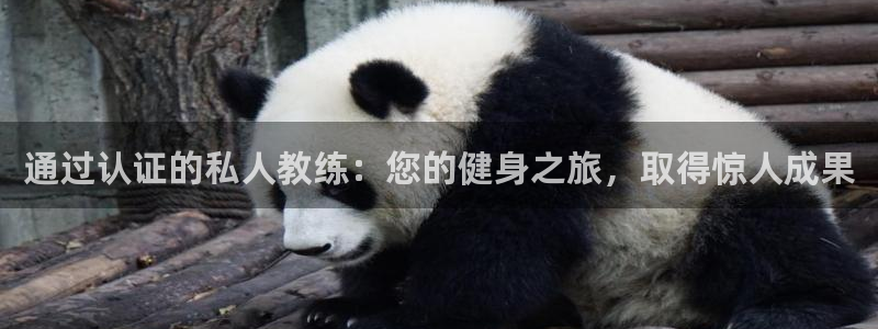 龙8国际网址是什么