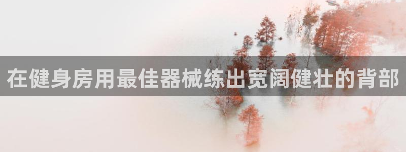 龙8国际手机登录官网