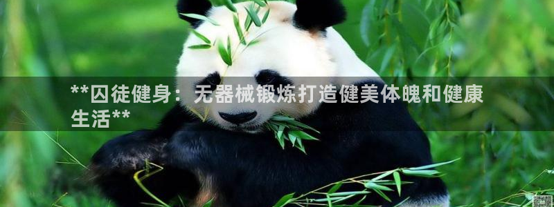 龙8游戏平台官方