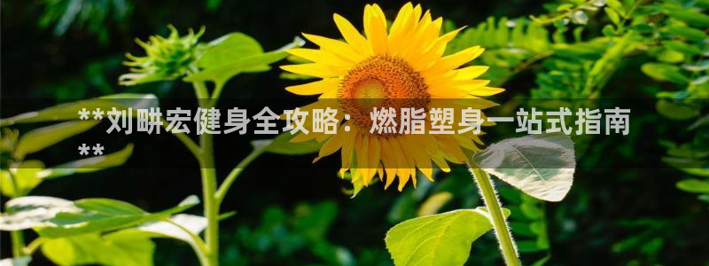 龙8国际安卓官方版fxzls-1.2.1 -安卓