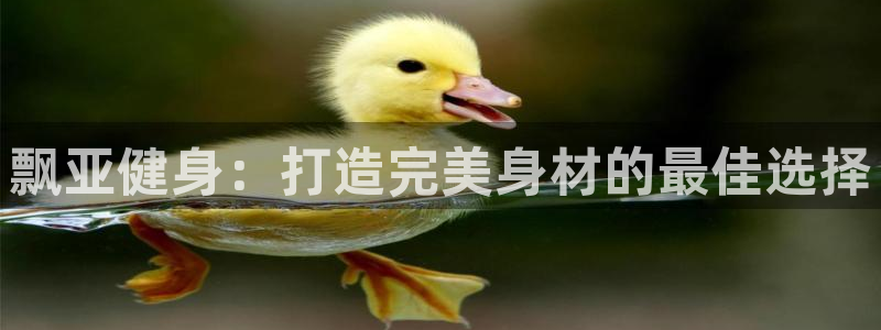 龙8国际网站是多少