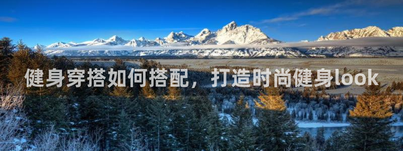 龙8国际网页版下载