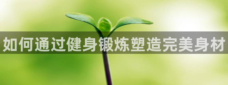 龙八国际城