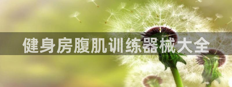 龙8国际手机版app