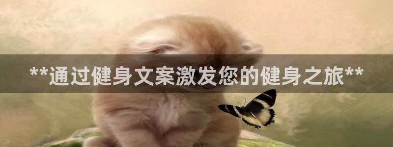 龙8国际官网版玩法