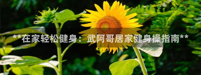 龙8国际棋牌