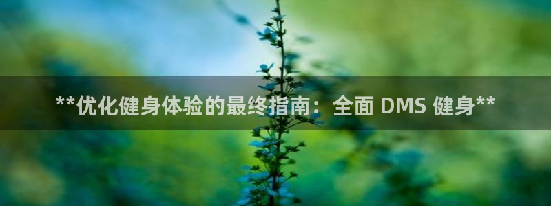 龙8国际怎么下载