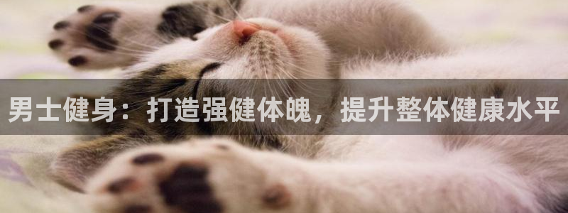 下载龙八国际