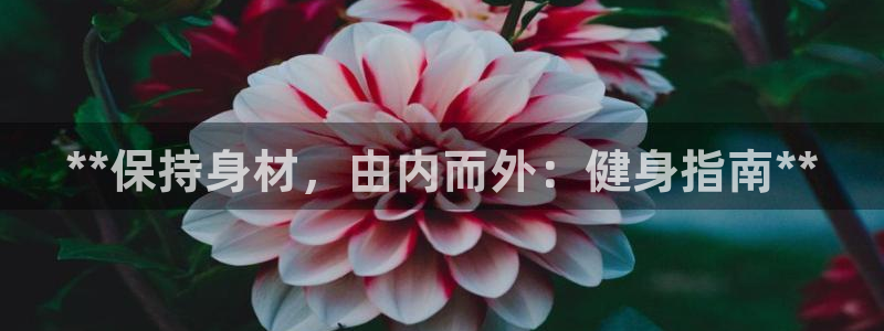 龙8国际城