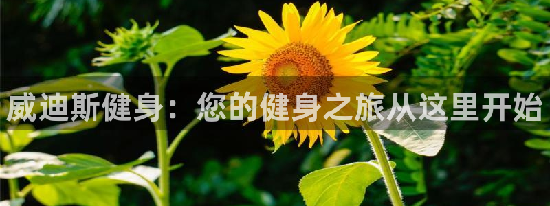龙8国际ing