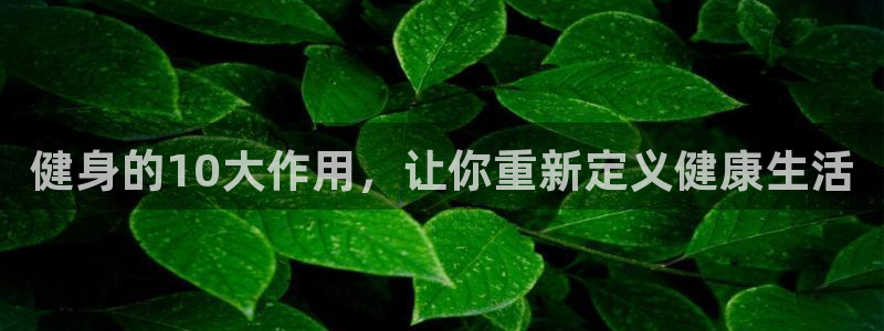龙8国际网页版下载