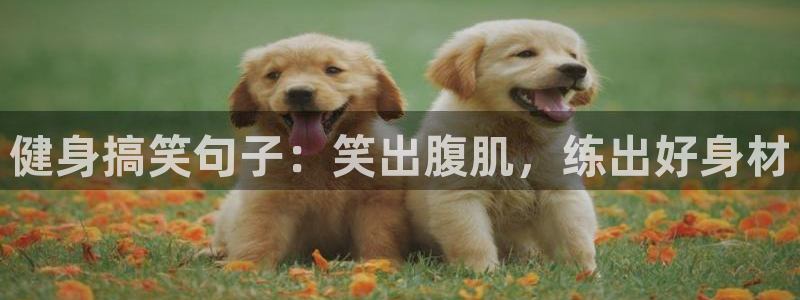 龙8游戏官方进入