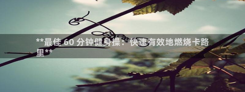 龙8国际long8
