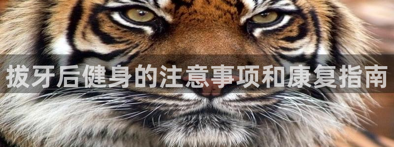龙8国际官网首页