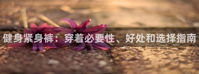 龙8国际登陆