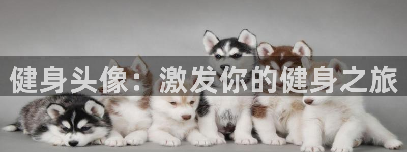 龙8国际总代理
