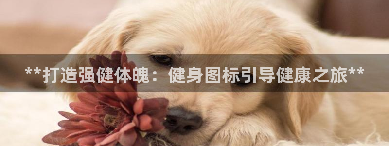 龙8国际游戏