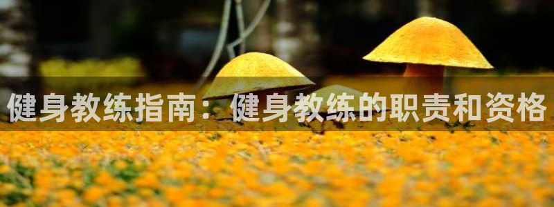 龙8国际官网多少