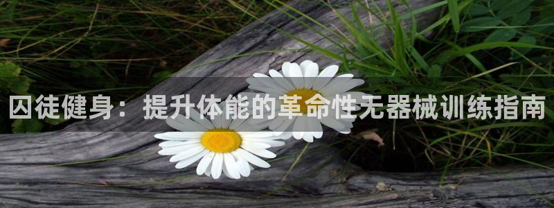 龙八国际娱乐官方网站