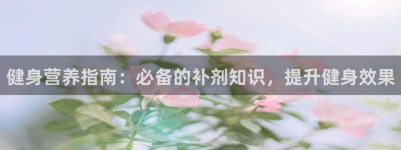 龙8国际官方网