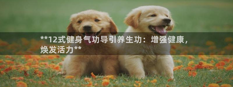 龙8国际官网app下载