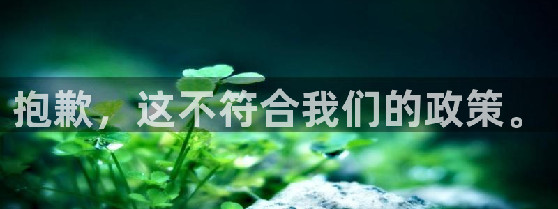 龙8国际2021年4.15更新版baoli