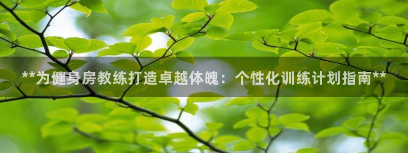 龙八国际城