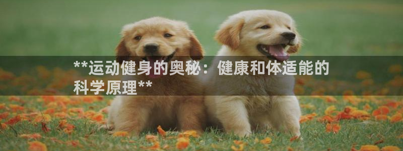 国际龙8下载