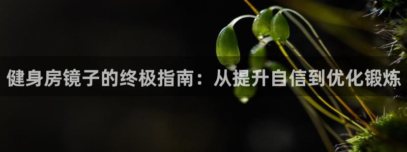 龙8国际电子平台