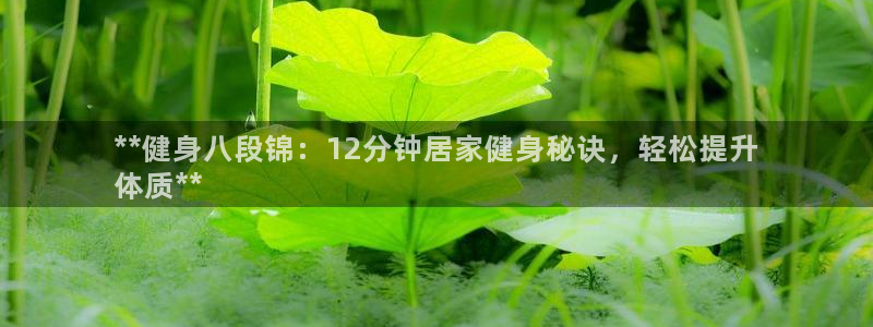 龙8国际2021年4.15更新版baoli