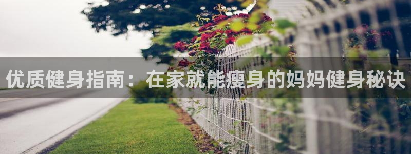 下载龙8国际