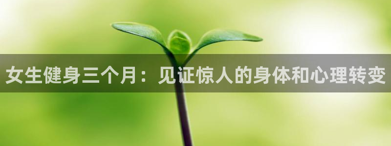 龙8国际官网版